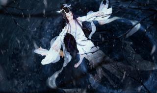 水中仙国际酒店 水中仙国际酒店