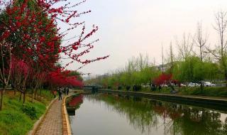 我在大学等你 我在大学等你