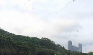 深圳莲花山公园 深圳莲花山公园