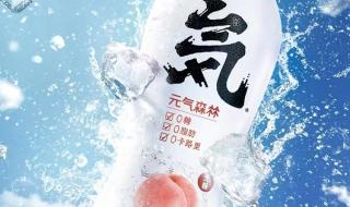 元气森林海盐菠萝是什么限定 元气森林赠箱饮料