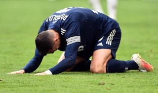 欧洲动物排行榜前十名 欧洲女篮排名前十名