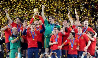 08年世界杯数据 2010年世界杯冠军得主是谁