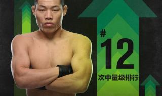 李景亮ufc一年收入